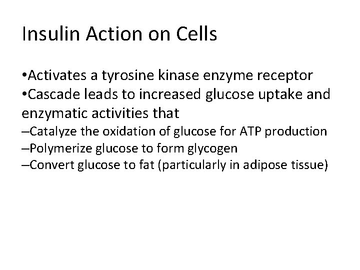 Insulin Action on Cells • Activates a tyrosine kinase enzyme receptor • Cascade leads