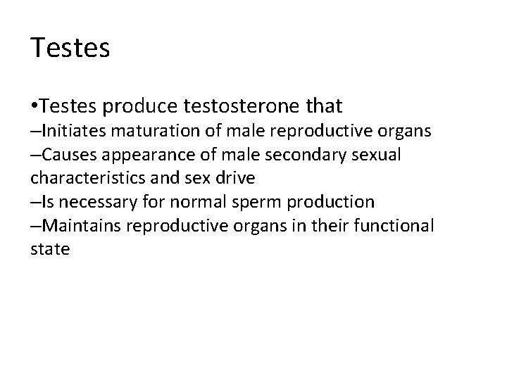 Testes • Testes produce testosterone that –Initiates maturation of male reproductive organs –Causes appearance