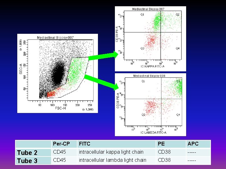  Tube 2 Tube 3 Per-CP FITC PE APC CD 45 intracellular kappa light