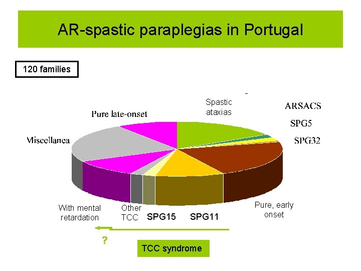 AR-spastic paraplegias in Portugal 120 families Spastic ataxias With mental retardation Other TCC SPG