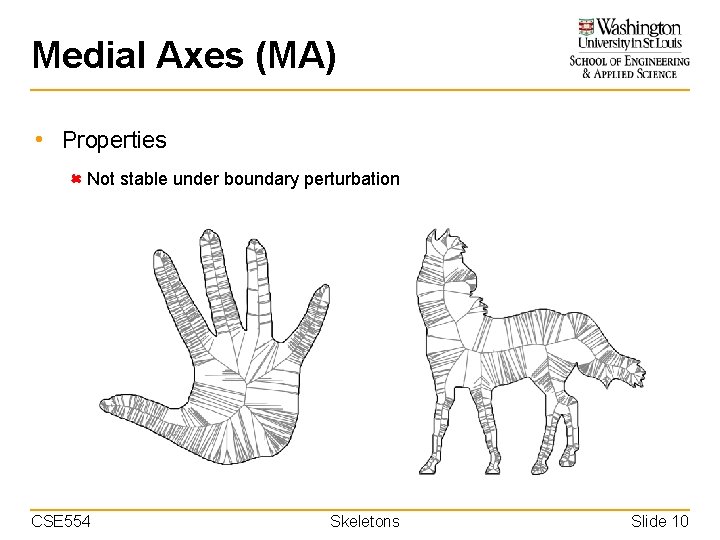 Medial Axes (MA) • Properties Not stable under boundary perturbation CSE 554 Skeletons Slide