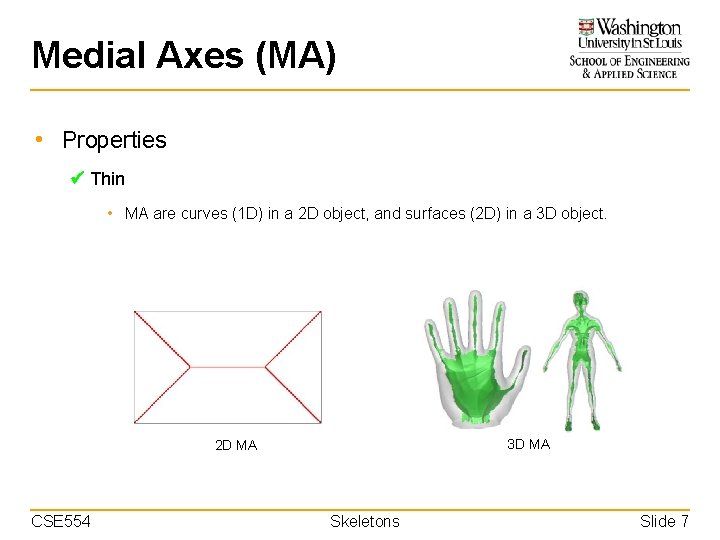 Medial Axes (MA) • Properties Thin • MA are curves (1 D) in a