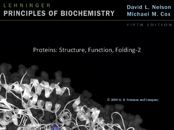 Proteins: Structure, Function, Folding-2 © 2009 W. H. Freeman and Company 