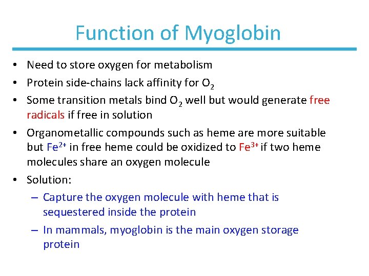 Function of Myoglobin • Need to store oxygen for metabolism • Protein side-chains lack