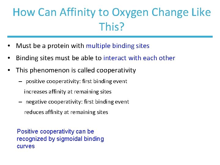 How Can Affinity to Oxygen Change Like This? • Must be a protein with