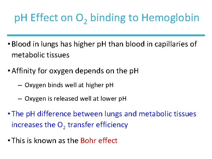 p. H Effect on O 2 binding to Hemoglobin • Blood in lungs has