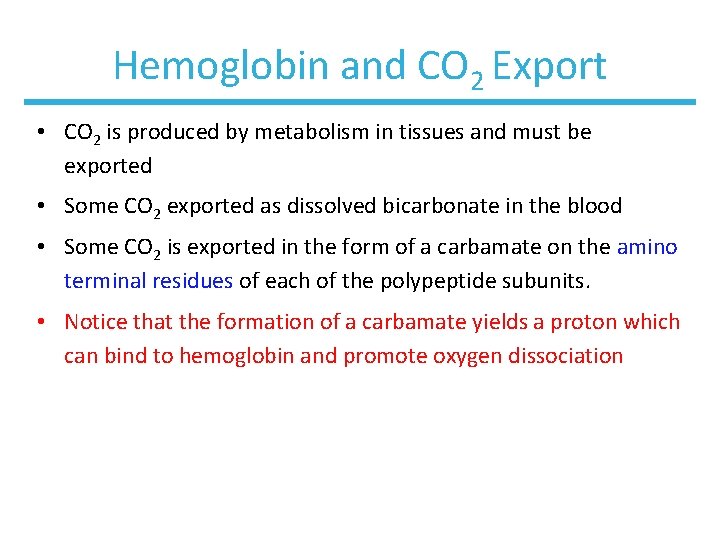 Hemoglobin and CO 2 Export • CO 2 is produced by metabolism in tissues