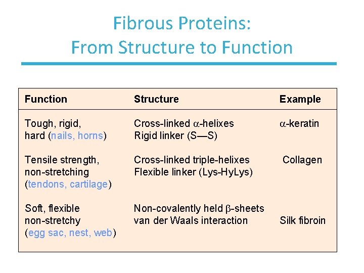 Fibrous Proteins: From Structure to Function Structure Example Tough, rigid, hard (nails, horns) Cross-linked