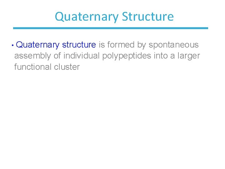 Quaternary Structure • Quaternary structure is formed by spontaneous assembly of individual polypeptides into