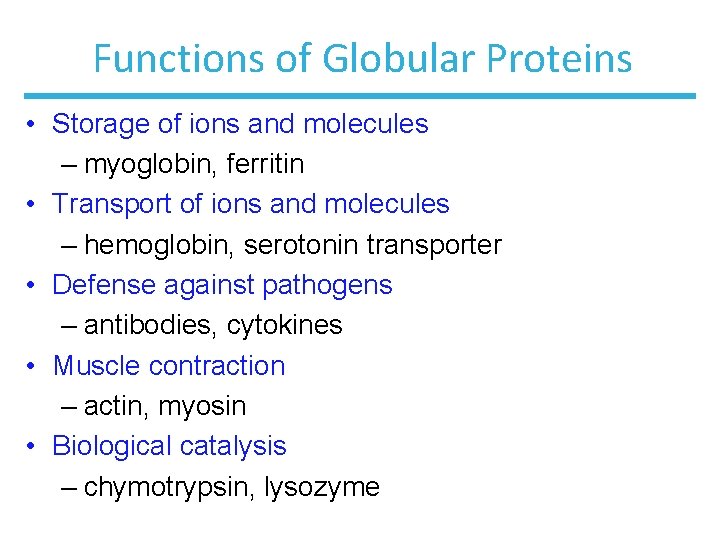 Functions of Globular Proteins • Storage of ions and molecules – myoglobin, ferritin •