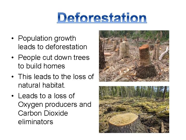  • Population growth leads to deforestation • People cut down trees to build