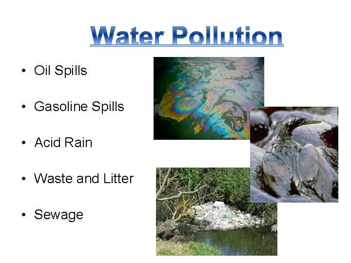  • Oil Spills • Gasoline Spills • Acid Rain • Waste and Litter