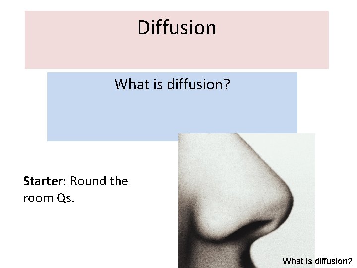 Diffusion What is diffusion? Starter: Round the room Qs. What is diffusion? 
