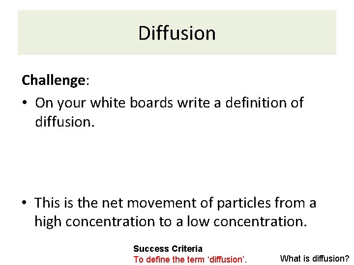 Diffusion Challenge: • On your white boards write a definition of diffusion. • This