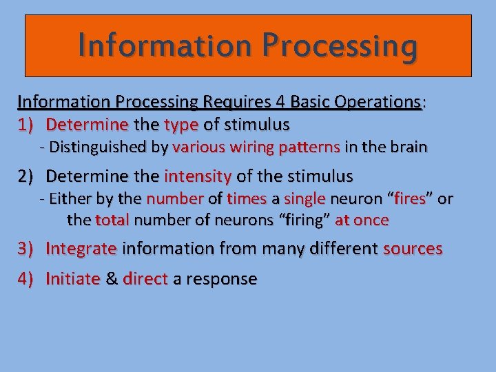 Information Processing Requires 4 Basic Operations: 1) Determine the type of stimulus - Distinguished