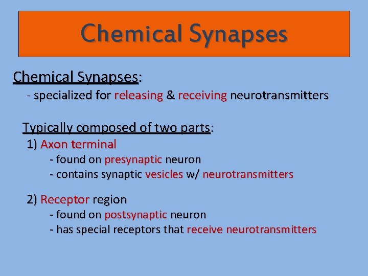 Chemical Synapses: - specialized for releasing & receiving neurotransmitters Typically composed of two parts: