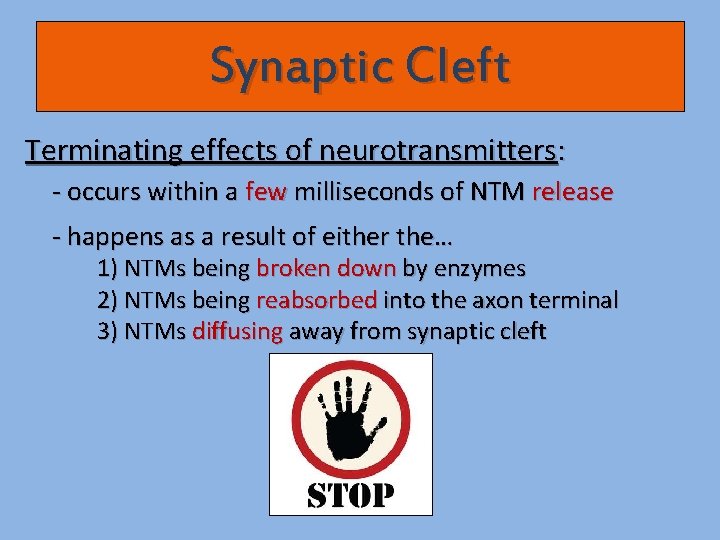 Synaptic Cleft Terminating effects of neurotransmitters: - occurs within a few milliseconds of NTM