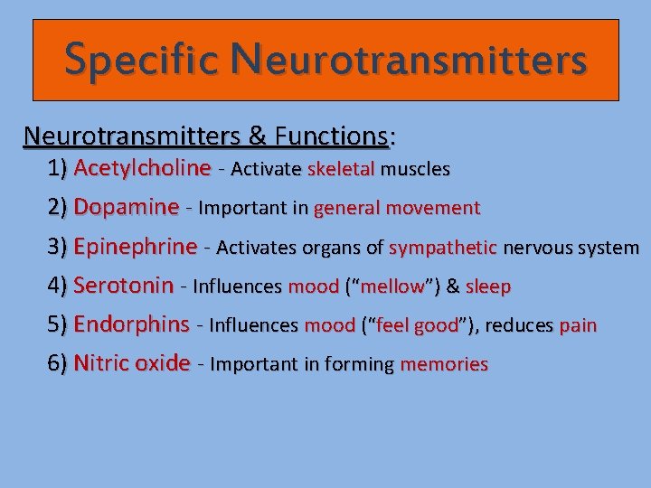 Specific Neurotransmitters & Functions: 1) Acetylcholine - Activate skeletal muscles 2) Dopamine - Important