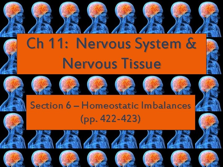 Ch 11: Nervous System & Nervous Tissue Section 6 – Homeostatic Imbalances (pp. 422