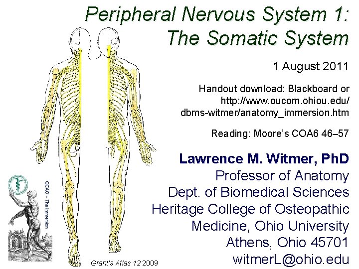 Peripheral Nervous System 1: The Somatic System 1 August 2011 Handout download: Blackboard or