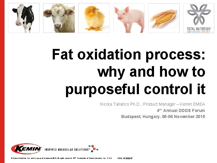 Fat oxidation process: why and how to purposeful control it Nicola Tallarico Ph. D.