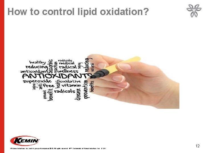 How to control lipid oxidation? © Kemin Industries, Inc. and its group of companies