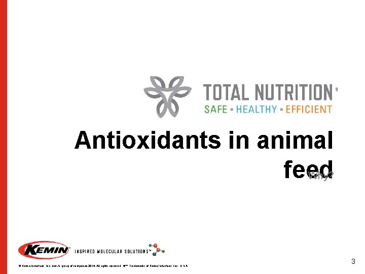 Antioxidants in animal feed Why? © Kemin Industries, Inc. and its group of companies