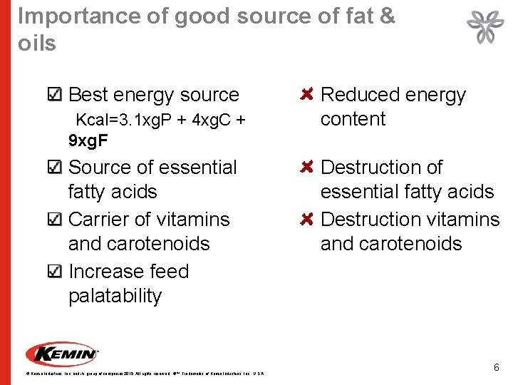 Importance of good source of fat & oils Best energy source Kcal=3. 1 xg.