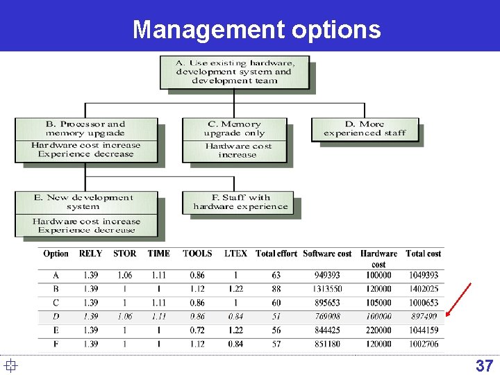 Management options ° 37 