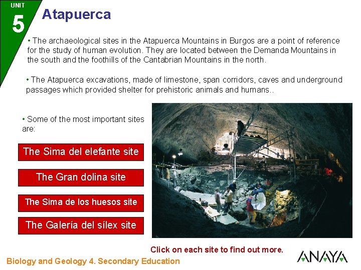 UNIT 5 3 Atapuerca • The archaeological sites in the Atapuerca Mountains in Burgos