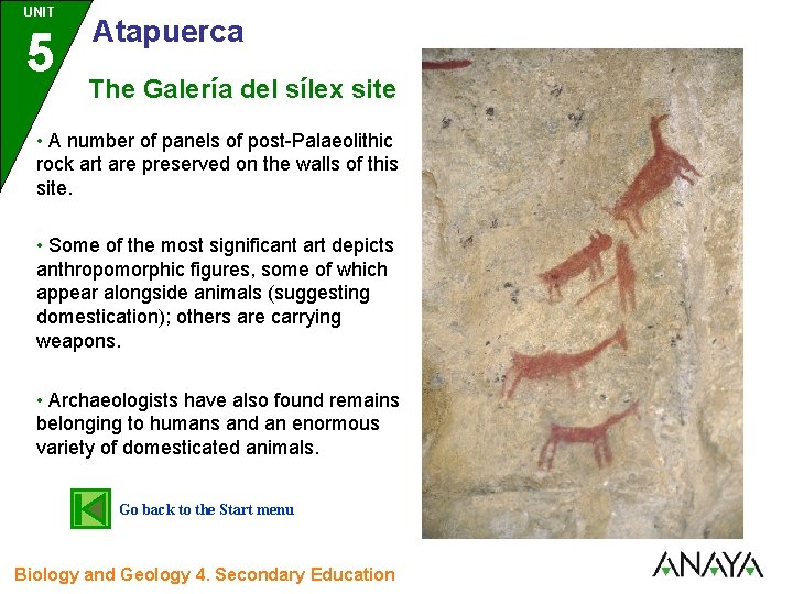 UNIT 5 3 Atapuerca The Galería del sílex site • A number of panels