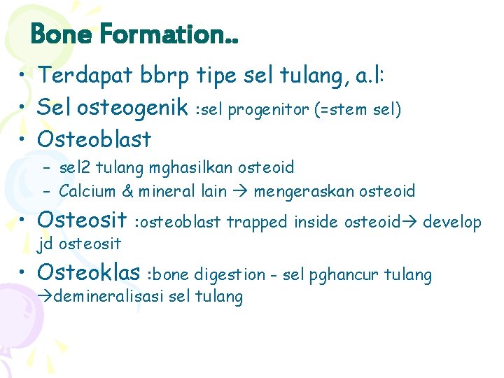 Bone Formation. . • Terdapat bbrp tipe sel tulang, a. l: • Sel osteogenik