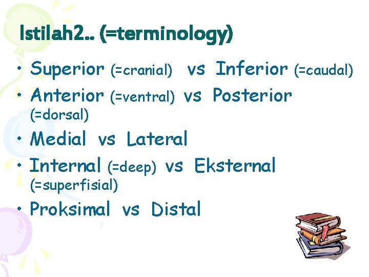 Istilah 2. . (=terminology) • Superior (=cranial) vs Inferior (=caudal) • Anterior (=ventral) vs
