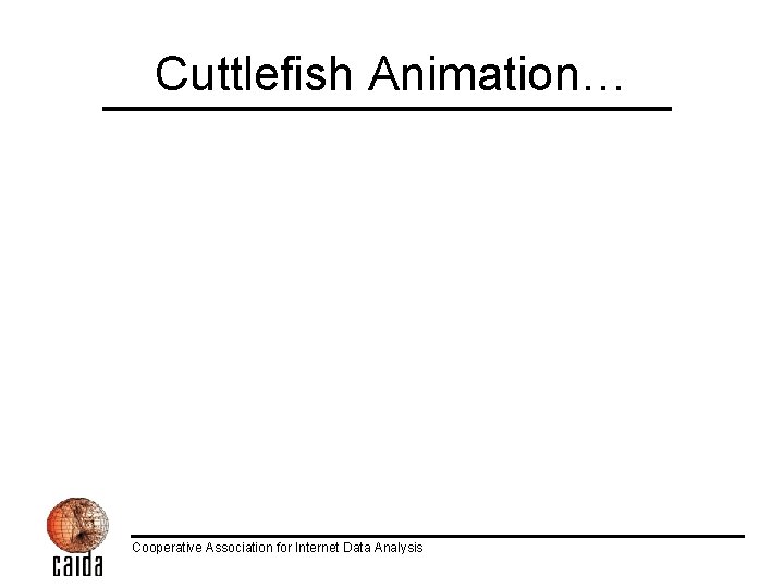 Cuttlefish Animation… Cooperative Association for Internet Data Analysis 