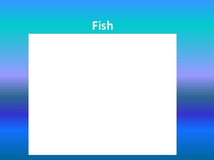 Fish 