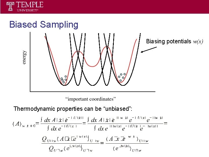 Statistical Thermodynamics Spring 2013 Biased Sampling Biasing potentials w(x) Thermodynamic properties can be “unbiased”: