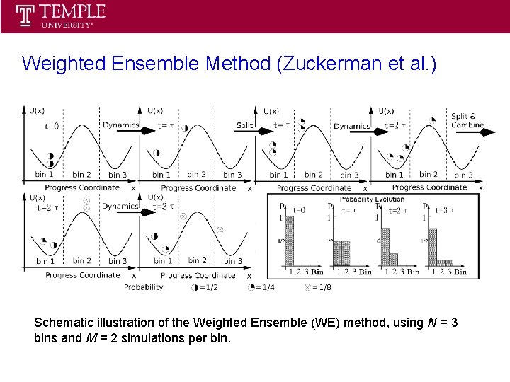 Statistical Thermodynamics Spring 2013 Weighted Ensemble Method (Zuckerman et al. ) Schematic illustration of