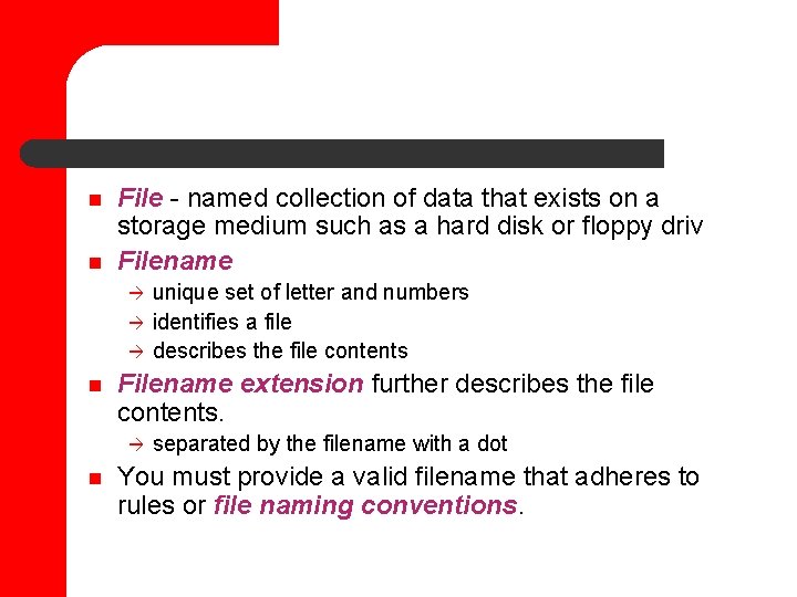 n n File - named collection of data that exists on a storage medium