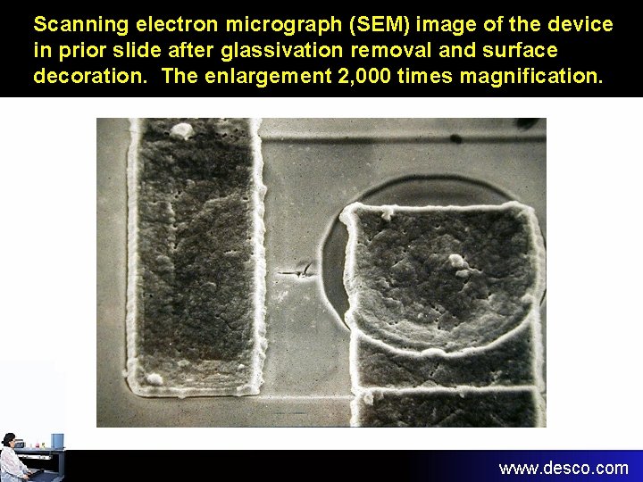 Scanning electron micrograph (SEM) image of the device in prior slide after glassivation removal Scanning electron micrograph (SEM) image of the device in prior slide after glassivation removal
