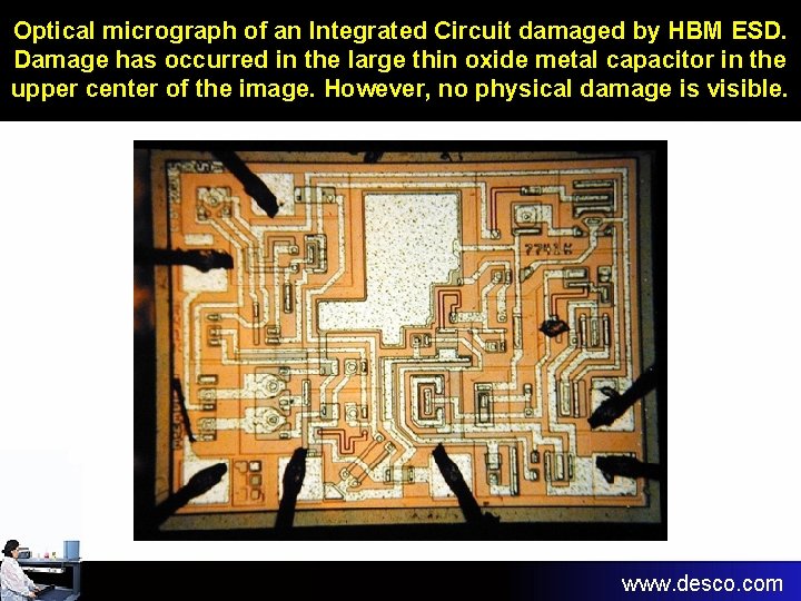 Optical micrograph of an Integrated Circuit damaged by HBM ESD. Damage has occurred in Optical micrograph of an Integrated Circuit damaged by HBM ESD. Damage has occurred in