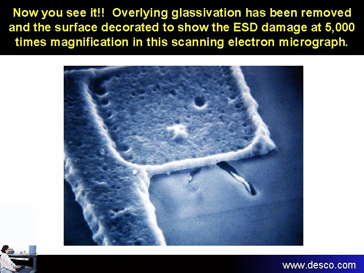 Now you see it!! Overlying glassivation has been removed and the surface decorated to Now you see it!! Overlying glassivation has been removed and the surface decorated to
