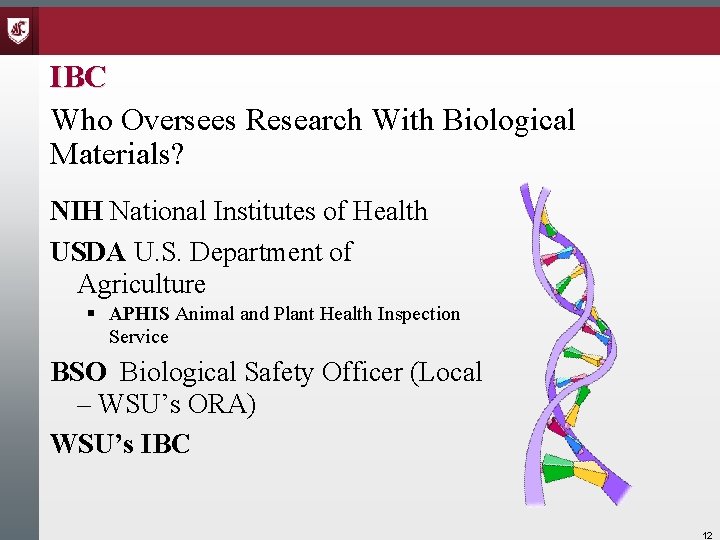 IBC Who Oversees Research With Biological Materials? NIH National Institutes of Health USDA U.