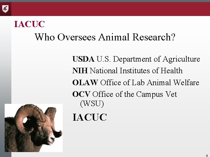 IACUC Who Oversees Animal Research? USDA U. S. Department of Agriculture NIH National Institutes