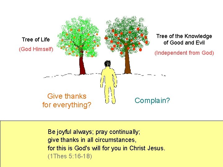 Tree of Life (God Himself) Give thanks for everything? Tree of the Knowledge of