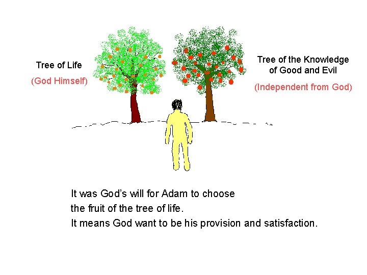 Tree of Life (God Himself) Tree of the Knowledge of Good and Evil (Independent