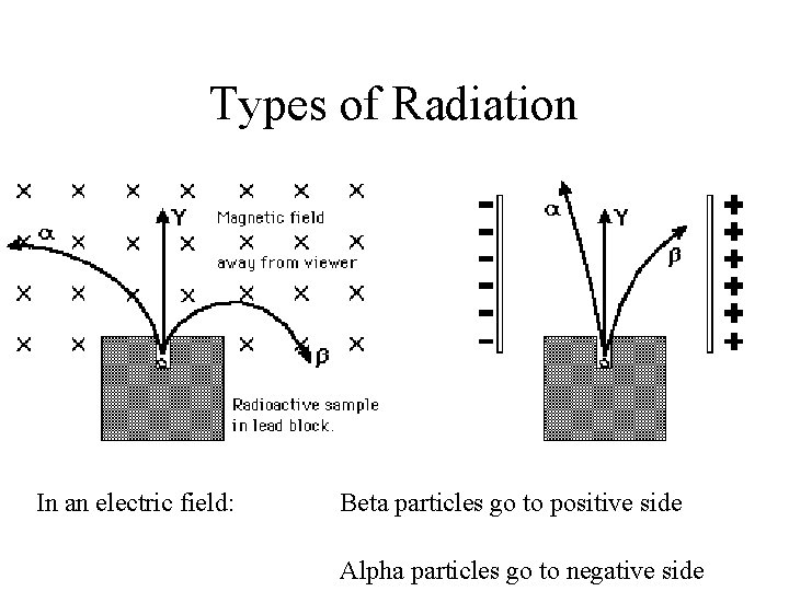 Types of Radiation In an electric field: Beta particles go to positive side Alpha