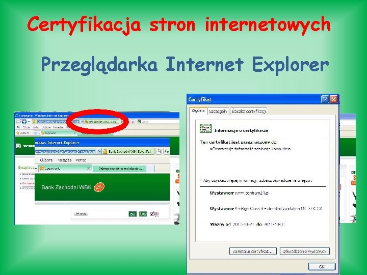 Certyfikacja stron internetowych Przeglądarka Internet Explorer 