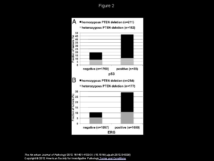 Figure 2 The American Journal of Pathology 2012 181401 -412 DOI: (10. 1016/j. ajpath.
