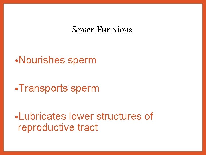 Semen Functions • Nourishes • Transports • Lubricates sperm lower structures of reproductive tract