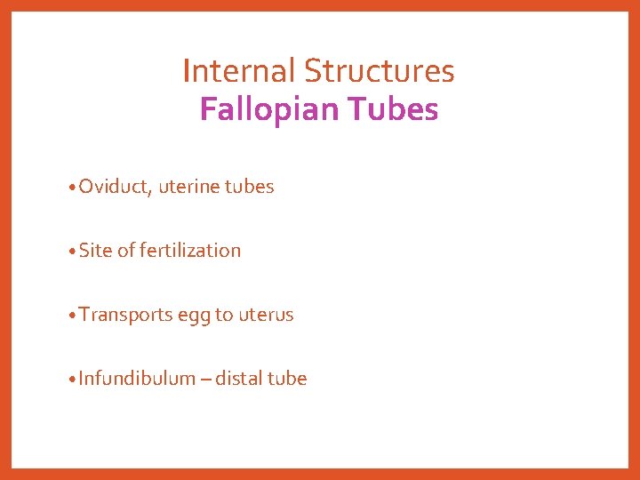 Internal Structures Fallopian Tubes • Oviduct, uterine tubes • Site of fertilization • Transports